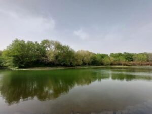Ghazal Saremi Instagram - 📷🔺️
🔺️از گردش یک روز بهاری در‌ باغ گیاه‌شناسی ملی ایران...هر فصل این باغ دیدنی خاص خودش را دارد...

🏞 باغ گیاه‌شناسی ملی ایران که صد و پنجاه هکتار وسعت دارد و در آن بیش از چهار هزار گونه از گیاهان مختلف ایران و جهان نگهداری می‌شود، یکی از جاذبه‌های گردشگری حوالی پایتخت است. که ضمن گردش در آن، می‌توان با رویشگاه‌ و اقلیم‌های مختلف کشورمان ایران و دنیا آشنا شد. چه خوبست که در هر فصل بازدیدی از این باغ تماشایی داشته باشیم.✨️

🔰 فرصت بازدید از این باغ دیدنی و جذاب برای تمامی علاقمندان به طبیعت و گردش و عکاسی ، در همه روزهای هفته از ساعت نه صبح تا شش عصر میسر است.

🚇 نزدیک‌ترین ایستگاه مترو به باغ،‌ ایستگاه ایرانخودرو است که از این ایستگاه تا باغ را می‌توان با تاکسی طی کرد.

💰 امکان تهیه‌ی بلیت بصورت حضوری و همینطور اینترنتی فراهم است.

📷 هنگام عکاسی مراقب گیاهان باشیم⚠️

#گردش #روز_بهاری #شهرتو_بگرد #گیاهشناسی #گردشگری_تهران #باغ_گیاه_شناسی_ملی_ایران #طبیعت_بهاری #عکاسی_طبیعت_ایران #تولیدمحتوااینستاگرام #قرن_جدید #۱۴۰۱ 
#nationalbotanicgardens #1401 #tehrangardi #irannaturephotos