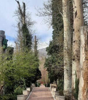 Ghazal Saremi Instagram - ایران

وقتی تهران را می‌گردی از تجربش تا گلاب‌دره و
ترکیب معماری مدرن و بافت قدیمی و اصیل و با هویتی
جذاب را نظاره‌گر می‌شوی، آنطور که ما با گروه خوب تهران‌‌ایمجیز در سیزده بدر امسال تجربه کردیم، هم لذت می‌بری و هم در عین حال با دیدن نسل جوان و شجاعی که
هوشمند است و زیبا و مدرن می‌پوشد و می‌گردد و بی تردید، جهانی فکر می‌کند و فاصله‌ی زیادی با خرافات و جهالت پیدا کرده است، به #زندگی امیدوار می‌شوی، همانطور که من شدم. 

این میزان از تمایل به شادی و #آزادی و رقصیدن و در عین حال درک متقابل و احترام به یکدیگر ‌که این روزها به چشم می‌آید، بسیار امیدوارکننده است.

آینده‌ای روشن در انتظار #ایران_زمین است. هرچند که اینروزها سخت برایمان می‌گذرد و گران....

@ghazalsaremiofficial 

#غزل_صارمی  #ایران  #ظهیرالدوله  #زن_زندگی_آزادی 
#نسل_جوان  #آینده  #سبز  #بازیگران  #ما_مردمان_خوبی_هستیم 

#Iran 
#photography 
#explore