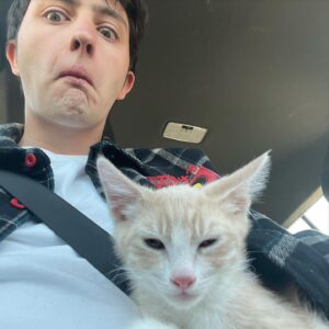Gianni DeCenzo Instagram - We have cats now.... so that’s a thing. Here are a bunch of cat pics now