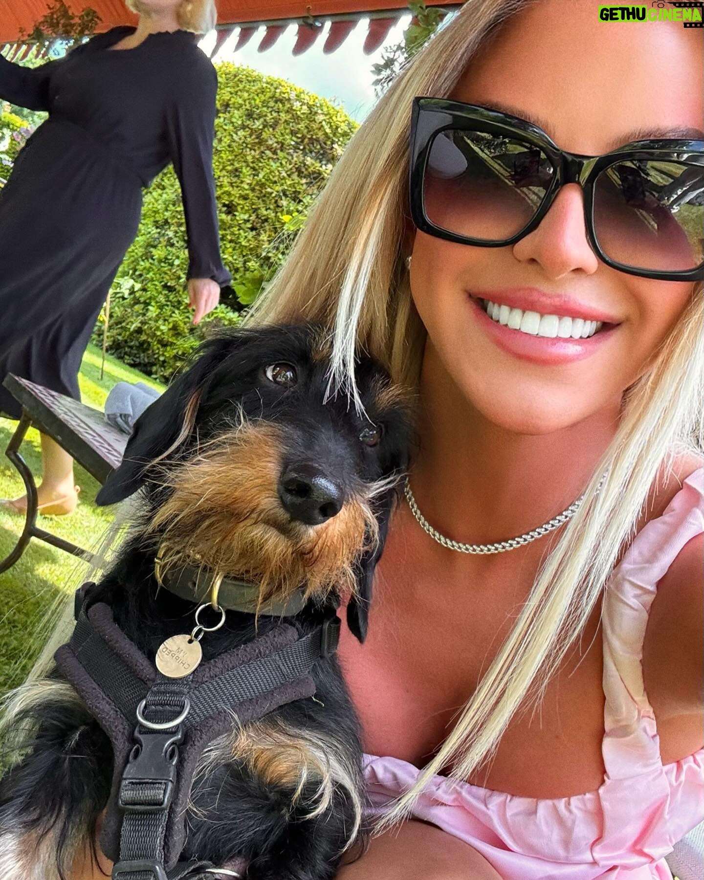 Gigi Lazzarato - 3 Likes - currently in a Jane Austen novel🧚🏼♀️