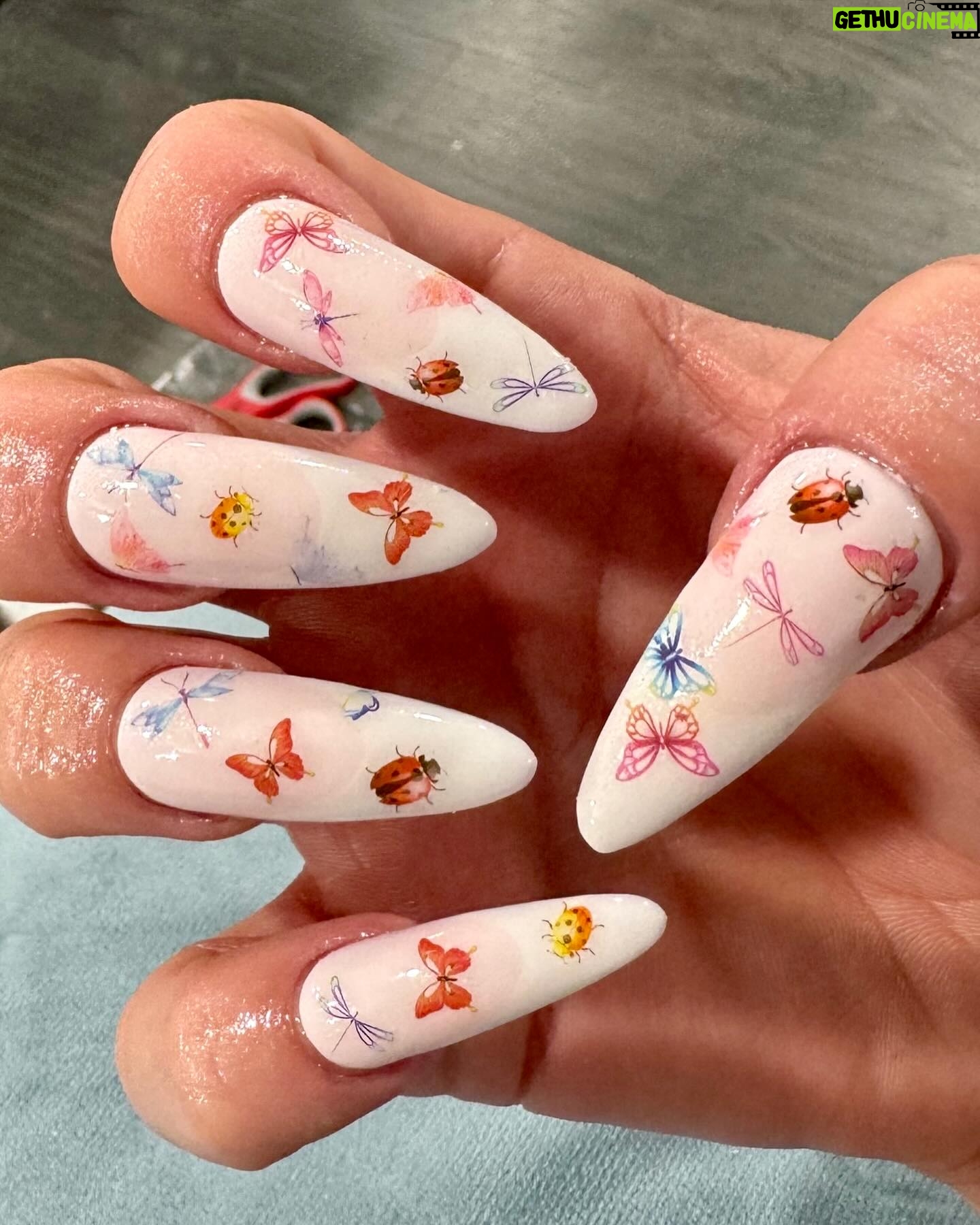 Gigi Lazzarato - 3 Likes - life lately💋🌸🫶🏻🐞💕