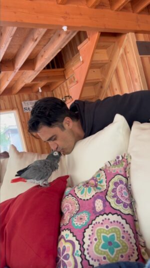 Gilles Marini Instagram - Working out with Anya… 
#workout #parrot #bird #explorerpage #fun #family #wildanimal #cabin #gym #pushup #wakingup #thevoice #saturday #kiss #flashdance #dwts