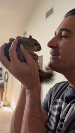 Gilles Marini Instagram - “It takes nothing away from a human to be kind to an animal.” 
— Joaquin Phoenix
#bennyben #theadventuresofbennyben #kindness #love #nature #wild #animals #squirrel