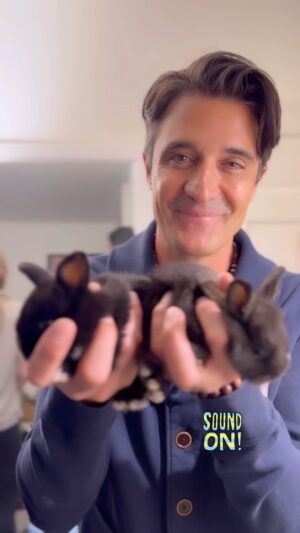 Gilles Marini Instagram - Let’s name them! Go!!! ❤️ 🐰 
@carolemarini and @juliana.lio found these little guys roasting under the sun without water or food. As you can imagine they are here now. Nothing new, it’s just a normal Wednesday at the Marini’s, we will give you updates as some of you like to follow our silly little life with our animals. 
Love you all
