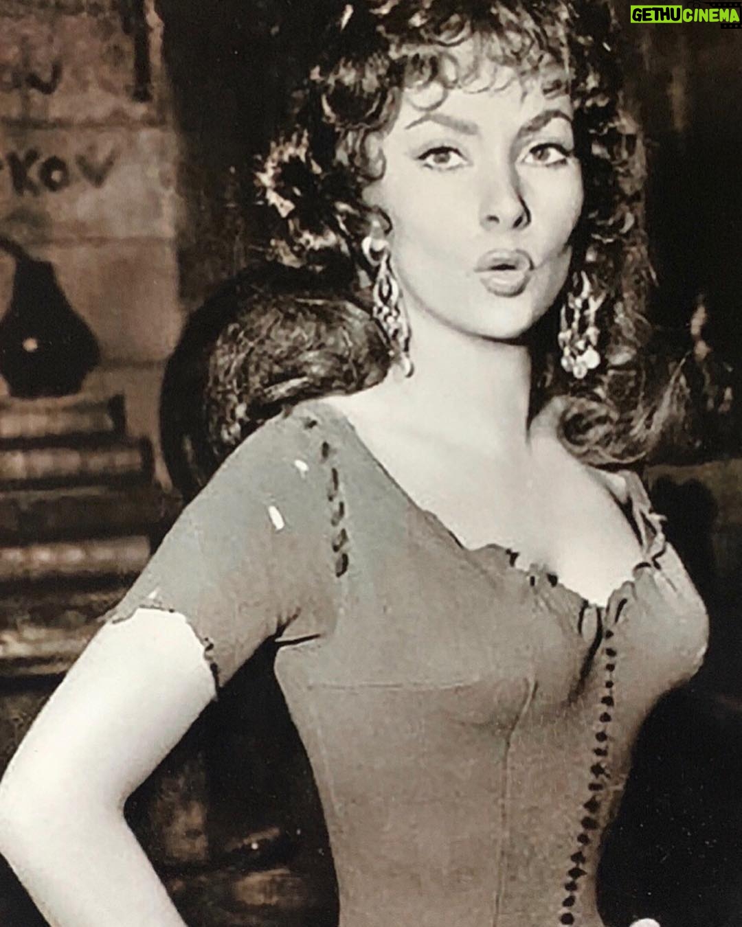 Gina Lollobrigida - 6.3K Likes - • Just remember to be yourself in here • ✨
.
.
.
#lollobrigida #gina #maestosa #labellezza #italianactress #s #art #marilyn #actress #arts #oldhollywood #hollywood #vintage #ginalollobrigidafans #icon #beauty #love #popart #instaart #model #artist #retro #fashion #actressart #artsy #help #instaartist