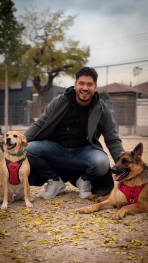 Gino Costa Instagram - 👀 Nuestra vida en 48 segundos 🤣 Lorenza, Hachi y @proplanchile son los protagonistas siempre 🩵
#Publicidad