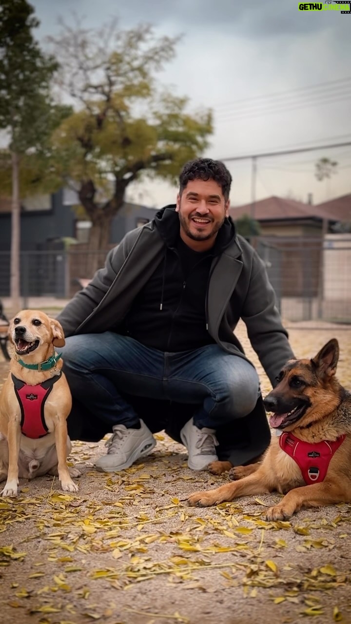 Gino Costa - 2.6K Likes - 👀 Nuestra vida en 48 segundos 🤣 Lorenza, Hachi y @proplanchile son los protagonistas siempre 🩵
#Publicidad