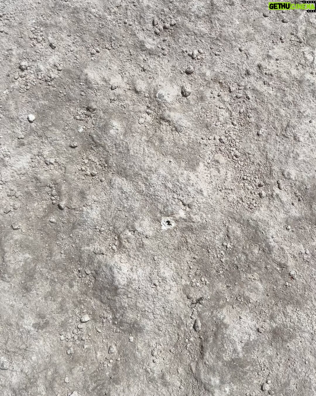 Gino Costa - 1.6K Likes - 🇨🇱 Hoy la aventura comenzó a las 5 AM porque había que llegar a este paraíso !!! Salar Pedernales IM PAC TAN TE … cuesta llegar, hay que madrugar pero todo vale la pena… premio para @pollocampos que se bancó 12 horas de manejo mientras yo 💤 jeje Seguiiiiimooooos la ruta 🇨🇱