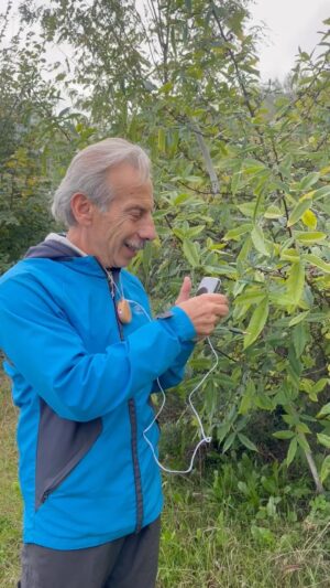 Giovanni Storti Instagram - Secondo le ultime ricerche scientifiche le piante hanno più di 15 sensi ed interagiscono costantemente con l’ambiente circostante. Il dispositivo @plantsplay con la sua app, rileva le loro variazioni elettriche e le converte in musica grazie a due sensori posizionati sulle foglie o sui fusti degli alberi. La musica delle piante è incredibileeee! @plantsplay #Plantsplay #giovalovesnature #lamusicaelanatura #nature #music#adv