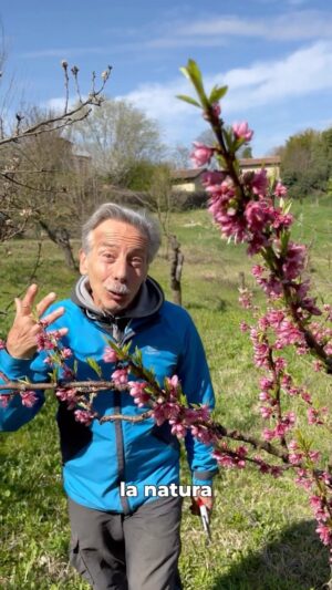 Giovanni Storti Instagram - Date sempre fiducia alla natura! 🍑🍑

#giovalovesnature #giovalovesnaturearoundtheworld #nature #natureloveer🌿🍂 #beautifulnature #naturalist #pesco #pesca #naturalbeauty #alberi #piante #giovacuriositàeconsigli #giovasolutions