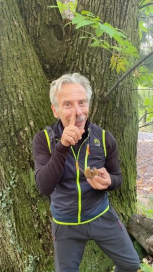 Giovanni Storti Instagram - Lotta nel riccio!!! 🌰🤣

#giovalovesnature #giovalovesnaturearoundtheworld #giovasolutions #giovacuriositàeconsigli #castagne🌰 #castagno #riccio #giova