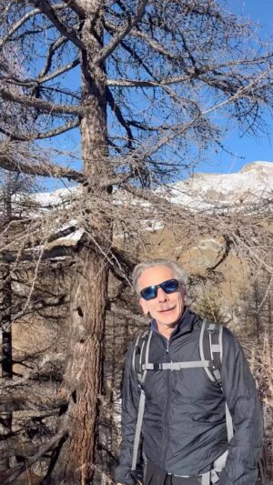 Giovanni Storti Instagram - E il settimo giorno Dio creò il Larice 🤣🍃

#giovalovesnature #giovalovesnaturearoundtheworld #giova #giovacuriositàeconsigli #giovasolutions #larice #aghi #giova #storti #nature #naturelovers #beautifulnature
