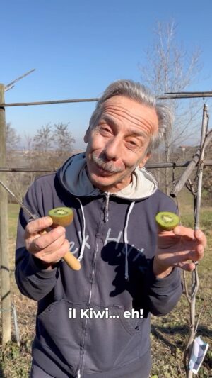 Giovanni Storti Instagram - In pochi sanno dire “Vuoi dei Kiwi”… Figuriamoci “vuoi dell’Actinidia”!🥝🤣

#giovalovesnature #giovacuriositàeconsigli #giovannistorti #nature #beautifulnature #amantidellanatura #kiwi