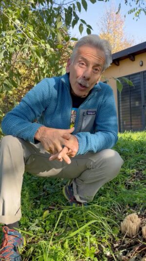 Giovanni Storti Instagram - La natura cosa ci regala…ci regala funghi bellissimi, straordinari 🍄🍄

#giova#giovalovesnature#funghi#natura#giovannistorti#giova#giardinaggio#reel#giovanni