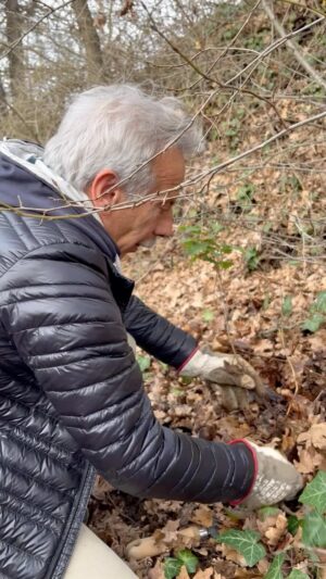 Giovanni Storti Instagram - Queste quercine le prendiamo e le re-piantiamo 🍃🍃🍃🌿

#giova#giovalovesnature#natura#quercia#giovannistorti