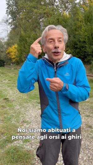 Giovanni Storti Instagram - Cioè… Si sta ribaltando la situazione. 🐜🤣

#giova #giovalovesnaturearoundtheworld #giovalovesnature #lacicalaelaformica #formiche #nature #beautifulnature #naturelovers #giovasolutions #giovacuriositàeconsigli
