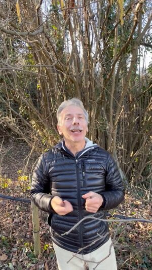 Giovanni Storti Instagram - La magia del nocciolo.🥜🌱

#giovalovesnature #giovalovesnaturearoundtheworld #nocciolo #magia #natura #naturalità #nocciolove