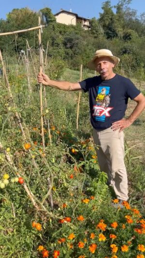 Giovanni Storti Instagram - Lo sapevate che la maggior parte degli ortaggi che consumiamo non ci accompagnano da sempre? 👨🏼‍🌾

#giovalovesnature #giovalovesnaturearoundtheworld #giovannistorti #giovanni #ortaggi #natura #impattodelluomosullanatura #naturalità #verdure #mais #pomodori #pomodorirossi #bellezzadellanatura