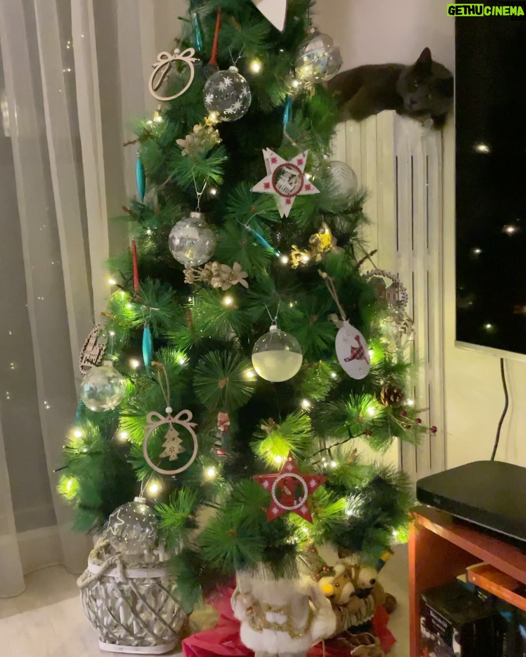 Giulia Bersani - 2.4K Likes - Ok… Tutti calmi, mamma sta cucinando da ieri sera, ha fatto una pausa stamattina alle 7:00 per dare l’aspirapolvere accompagnata dalle musichette di Natale in tv.
Sta per arrivare la famiglia, babbo, è l’ultimo giorno, poi tu vai in ferie fino all’anno prossimo e io in coma fino a domani.
Possiamo farcela, resistiamo ancora un po’.
Buon Natale a tutti! Che i regali valgano tutta questa fatica! 🙄
#christmas #Natale2023 #buonnatale🎄 #babbonatale #chogialansiapercapodanno