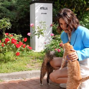 Gizem Soysaldı Instagram - Yürüyerek Gel 1.sezon Tivibu Tivilife’da🦋 Tivibu Go uygulamasını telefonunuza indirerek bölümleri zamansız olarak seyredebilirsiniz. 13 bölüm 13 farklı semt 13 farklı rota🦚 #yürüyerekgel