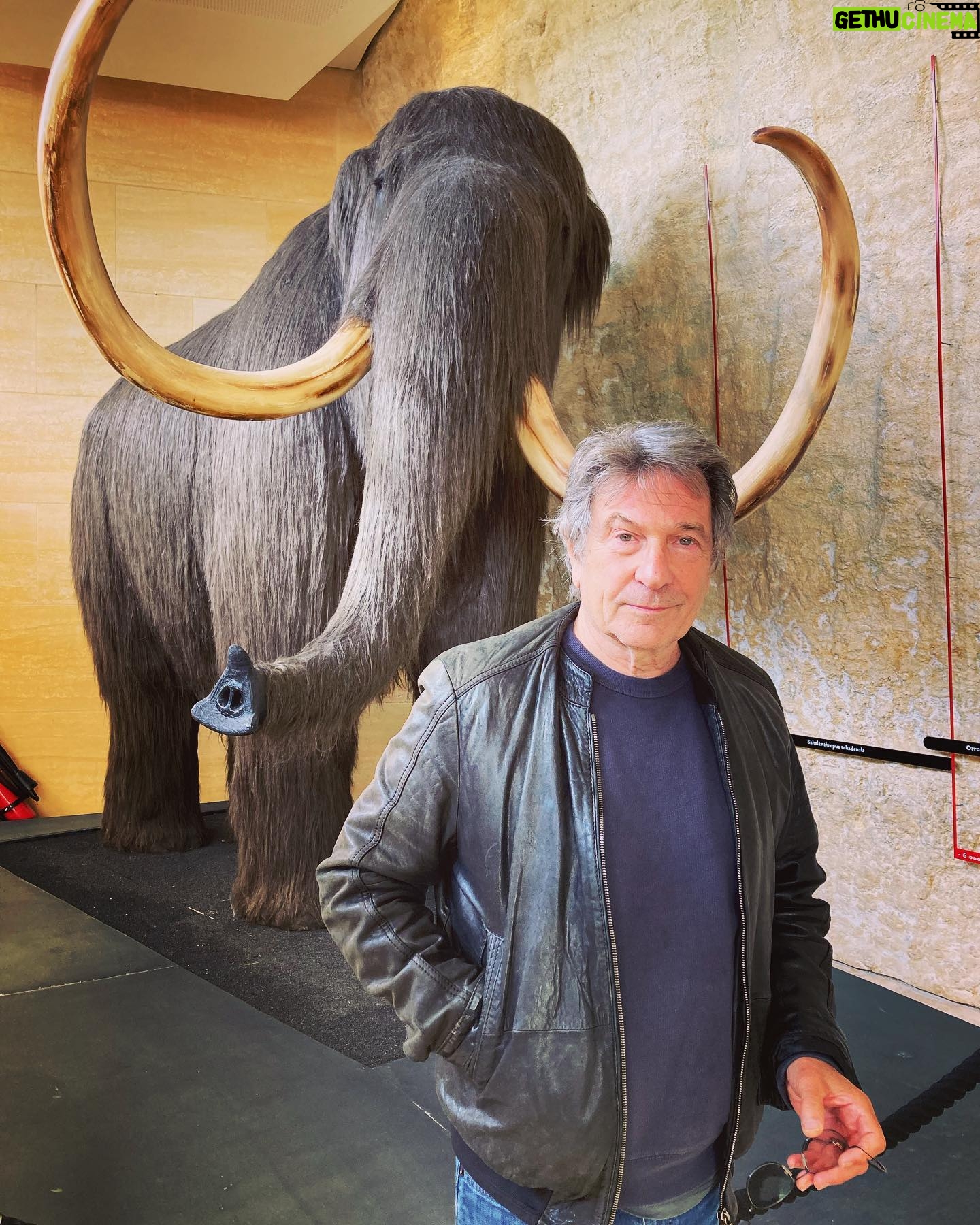 Glynis Barber - 1.3K Likes - He’s behind you!
#woollymammoth #prehistoric #bigfella