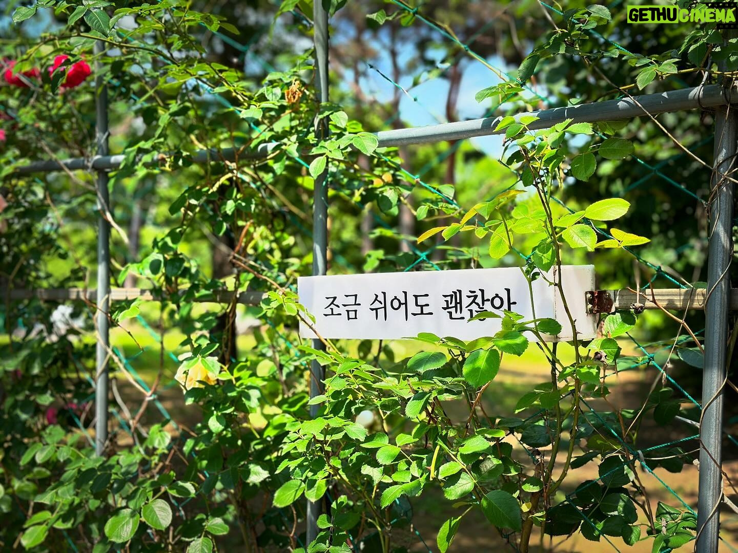 Gongchan - 14.1K Likes - 그런 날