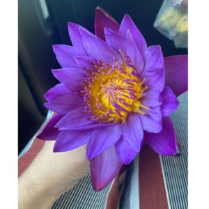 Gouri Nair Instagram - With all the grace and glory, From Manipur ♾️😍❤️🫰🏻

#gourinairsocialmedia #gourinairinstagram #gourinairactress #gourinairartist #gourinair
#today #love #instagram #instadaily #nature #fashion #beautiful #photo #art #likeforlikes #motivation #smile #style #day #music #now #insta #selfie #myself #l #trending #manipur