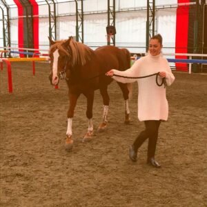 Gözde Okur Instagram - 🐎🐎🐎