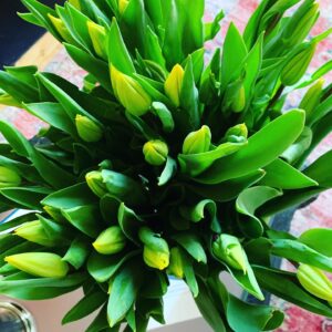 Graham Norton Instagram - Like light at the end of this tunnel! Thank you so much @theflowerbmb @theflowerbx #blooms #spring #hope