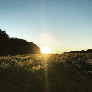 Graham Rogers Instagram - A perfect place to text.