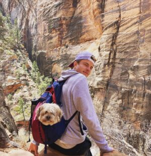 Graham Rogers Instagram - Dog pack