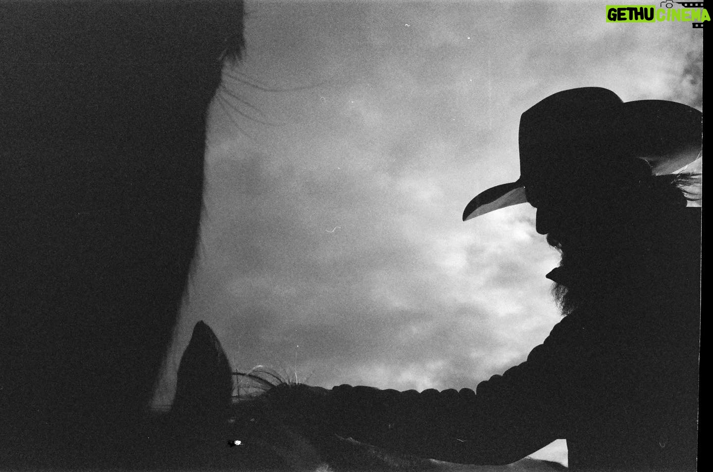 Gratiela Brancusi - 525 Likes - On my way from set, this one day, I stopped to hang with a harem of horses. It was the middle of nowhere Montana and I yearned company and they had a lot of love to give and James was driving through and decided to interrupted
@paramountnetwork #1883tv #35mm #leicalosers #analogphotography #ishootfilm #ibelieveinfilm #filmisnotdead #magazine35mm #somewheremagazine #infilmwetrust #777luckyfish #broadmag #n8zine