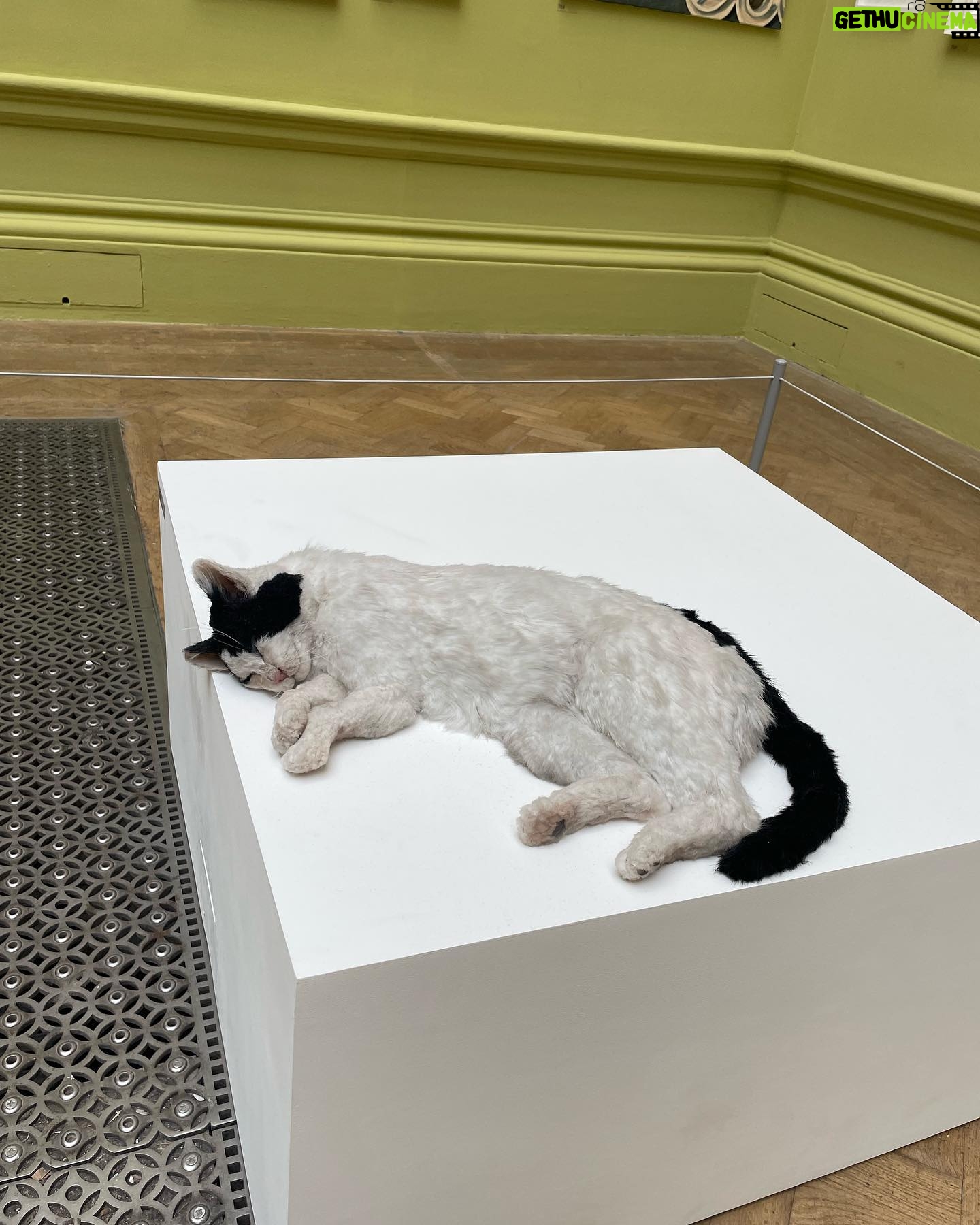 Grayson Perry - 8.9K Likes - Royal Academy summer show