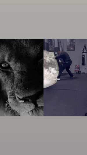 Greg Hardy Instagram - Prince < King evolution is apon us