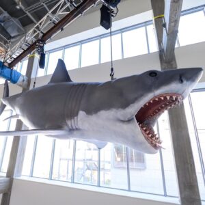 Greg Nicotero Instagram - @academymuseum Very proud to see our restoration of the last original casting of the shark from Jaws taking its place in the soon to be open Motion Picture Academy Museum.  Truly a once in a lifetime opportunity for me and I couldn’t be more proud to know that for years to come people will be able to marvel at this amazing creation and pay tribute to every technician that worked on the film.  Huge thanks to every at KNB for their dedication to this project and Steven, Joe Alves and Roy Arbogast.  #jaws #academymuseum @amblin