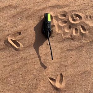 Greig Fraser Instagram - This is how two DP’s communicate in the desert. Thanks for the beautiful sand drawing @katearizmendi