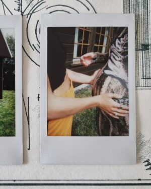 Guðrún Ýr Eyfjörð Instagram - Mitt besta fólk og babyshower 🌞