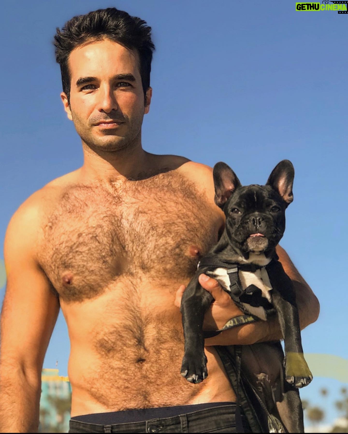 Guido Massri - 3.8K Likes - Beach Sunday!! No se cual de los dos es más peludo 😂🏖 🐶
#beach #frenchie #dog
