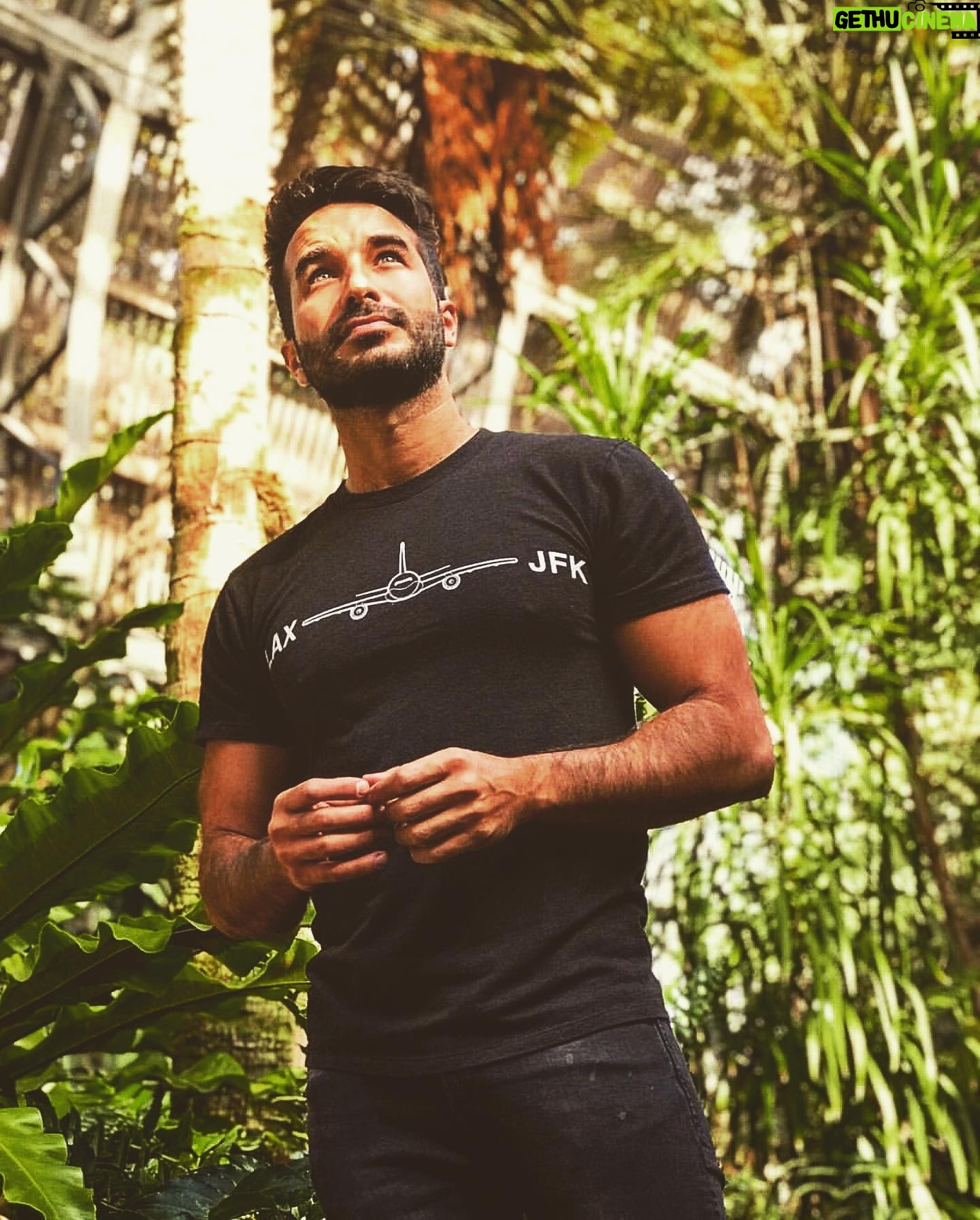 Guido Massri - 1.3K Likes - Respirar 🌱 🪴 #verdelima