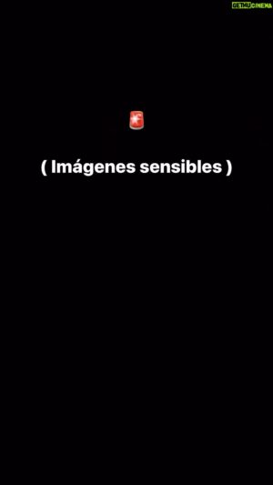 Guido Massri Instagram - Estás son imágenes que nadie quiere ver. Pero siento la obligación de mostrarlas…
Imágenes que Te hacen sentir el corazón desahuciado, mientras parte del mundo te da la espalda. Nuestros niños Israelíes Tampoco volverán. nacerán nuevos, y alegrarán nuestras vidas nuevamente . Pero no será igual. Hay algo en nosotros que ya no es lo mismo desde ese fatídico 7 de octubre. #nuncamás