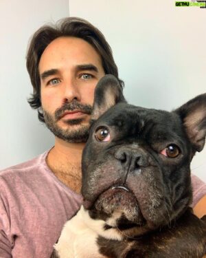 Guido Massri Instagram - Pre-pandemic (1) - Post-pandemic (2) 

🦠🤮

#la #dog #frenchbulldog #pandemia