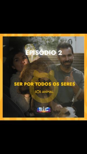 Guilherme Duarte Instagram - Amanhã na SIC às 9h estreia o segundo episódio da série documental - 
SOS Animal - Ser Por TODOS os Seres. 
Domingo 11.45h na SIC Mulher

Neste episódio temos como convidado o humorista @guilhermercd que vai partilhar connosco a sua jornada com a Zaya, uma cadela muito especial.

Conheça ainda o projecto português de proteção das mobulas, o trabalho desenvolvido pelo canil de Santarém e a história inspiradora da Carmem.
Isto e muito mais num episódio carregado de emoção.

Este programa é patrocinado pela @skodagram_portugal ao abrigo da sua responsabilidade social e ambiental.

SOS Animal
Ser Por TODOS os Seres 
www.sosanimal.com 
#sosanimal #sosanim alportugal #peladefesadetodososanimais #cvssosanimal #porummundomelhor #rescueanimals #animals #animais #cães #gatos #loveallanimals #parabéns #serportodososseres #cuidardoseuécuidardetodos #porummundomelhor #serportodososseres #cuidardoseuécuidardetodos #rescueanimal #rescuedog #cat #dog #adopte #veterinary #hope #savetheplanet #savetheanimals #animal #animallovers #animallover #veganfortheanimals #animalsofinstagram