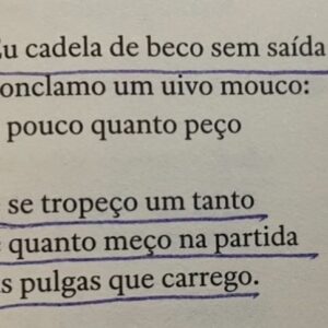 Guilherme Weber Instagram - Que bonito conhecer um poeta!
Os poemas do Guilherme são poderosos, quase conjurações. Algo ancestral soa em cada página, épico, grego, aborígene, borginiano…
Este título barreira é o nome de uma cerimônia no idioma chinook, em que membros de um grupo trocam oferendas e presentes. Bela alusão para um livro, que tanto nos dá e tanto recebe, posto que não existe livro sem leitor.
Parafraseando de maneira torta e memória ruim a francesa Marguerite Duras, não sabemos o que é um poema. Ninguém sabe. Mas sabemos quando ele EXISTE!
Bravo @guilhermegontijoflores
E agora vendendo o meu/nosso peixe, Guilherme eh dramaturgista, junto com @caetanowgalindo do espetáculo dos Ultraliricos, Fantasmagoria IV, com direção de @felipehirsch até 14/04 no Sesc Anchieta.