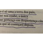 Guilherme Weber