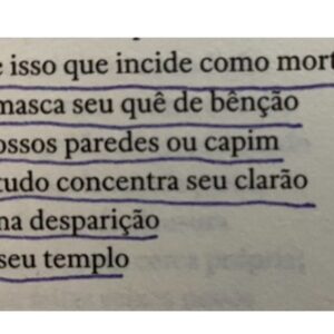 Guilherme Weber Instagram - Que bonito conhecer um poeta!
Os poemas do Guilherme são poderosos, quase conjurações. Algo ancestral soa em cada página, épico, grego, aborígene, borginiano…
Este título barreira é o nome de uma cerimônia no idioma chinook, em que membros de um grupo trocam oferendas e presentes. Bela alusão para um livro, que tanto nos dá e tanto recebe, posto que não existe livro sem leitor.
Parafraseando de maneira torta e memória ruim a francesa Marguerite Duras, não sabemos o que é um poema. Ninguém sabe. Mas sabemos quando ele EXISTE!
Bravo @guilhermegontijoflores
E agora vendendo o meu/nosso peixe, Guilherme eh dramaturgista, junto com @caetanowgalindo do espetáculo dos Ultraliricos, Fantasmagoria IV, com direção de @felipehirsch até 14/04 no Sesc Anchieta.