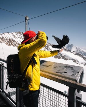 Guillaume Ruchon Instagram - Quand je donne à manger aux haters 🦅  1, 2, 3 ou 4 ?!
•
Première journée en Suisse et direction : Top of Europe 🏔
Après une montée en télécabines   train, vous arrivez à 3463m d’altitude avec une vue imprenable ! 

Qui est déjà allé la bas ?

Backstage (5) by @mattbelotti 📷
•
#LesVautoursNeSontPasLoin #30daysChallenge ? #A8hdumat ?!