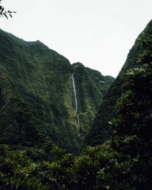 Guillaume Ruchon Instagram - Peaceful ⛰
•
Quel a été le voyage qui vous a le plus marqué ?!

Je crois que La réunion rentre dans mon TOP 3 direct. Des souvenirs plein la tête, une île sauvage et intense, des paysages à couper le souffle et un climat très agréable !

P.S : #LaRuche2021 : LIKE , ENREGISTRE, PARTAGE EN STORY et commente avec #LaRuche2021 quand c’est fait !

A GAGNER : UNE CARTE SD SONY TOUGH M 64 GO (valeur 70€)

TAS CE DEMAIN 19H 🍀
•
Shot w/ @sonyalpha #A7RIII & #SEL1635GM #SonyAlpha @alphauniversebysony.eu