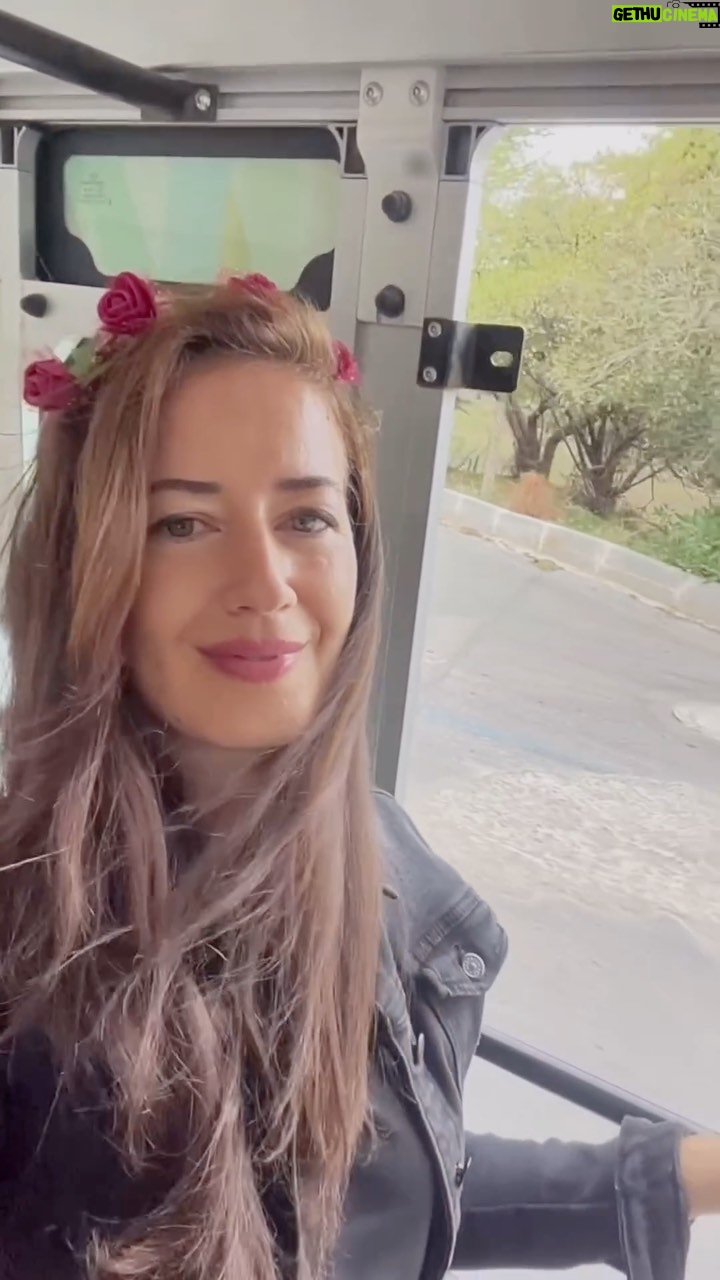 Gülşah Ertuğrul - 3 Likes - Ada..💙