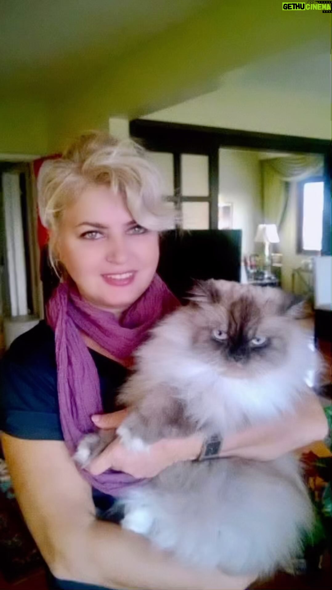 Gülşah Ertuğrul - 3 Likes - Şimdi seninle sonsuzluğun kollarında buluşuyoruz annem♥️.. meğer alemler değişirmiş ama eşsiz sevgin her yerden yetişirmiş özlemle yanan kalbime.. Sen yine varlığınla ruhuma ışık; günüme güneş 🙏🏼.. Ben yine sana hayran; seninle dolu her nefes..🌹