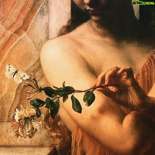 Gülşah Ertuğrul - 3 Likes - #edwardpoynter #details